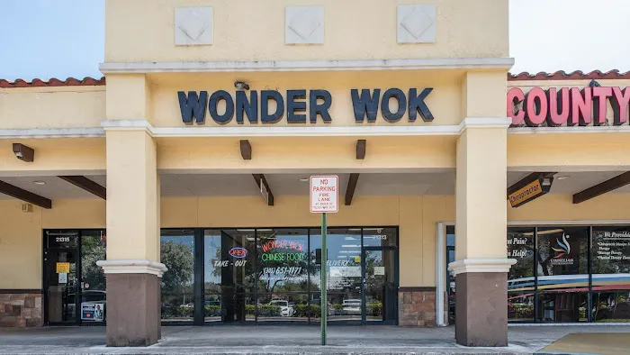 Wonder Wok 2