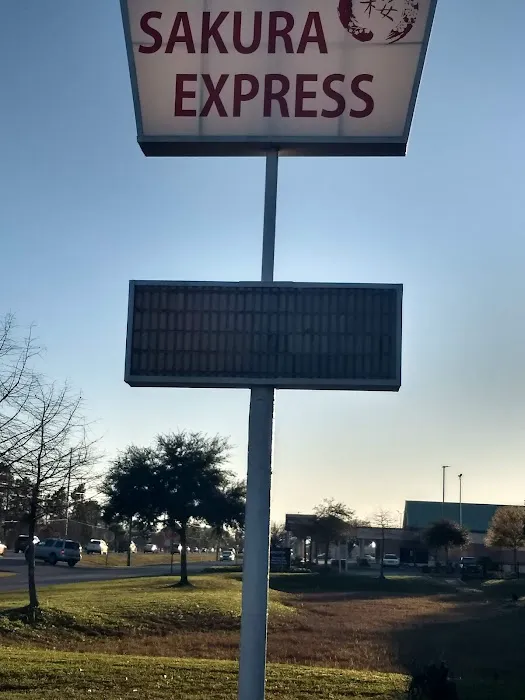 Sakura Express 2