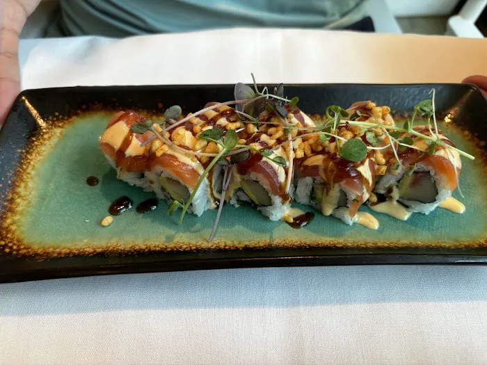 Ocean Hai 6