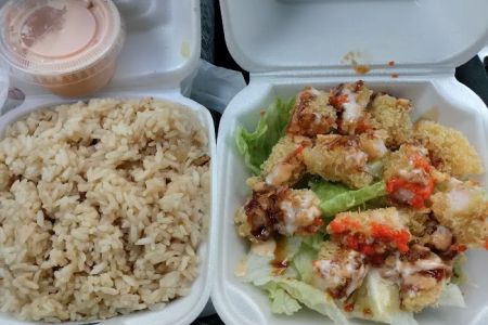O.E.C JAPANESE EXPRESS