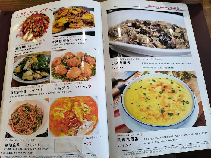 Hunan Bistro (Dallas) 7