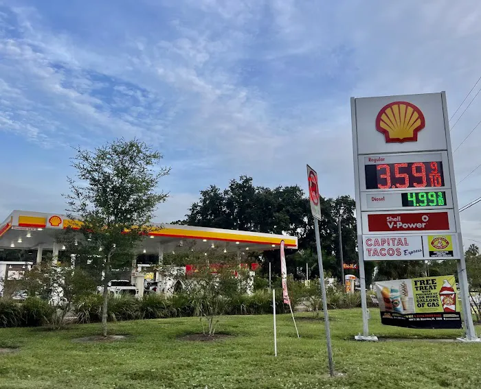 Shell 6