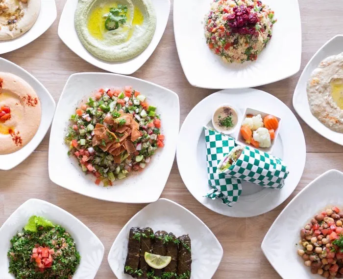 The Mediterranean Chickpea 3