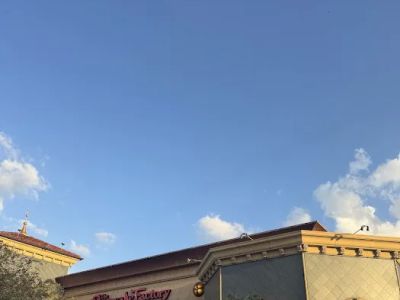 The Cheesecake Factory 0