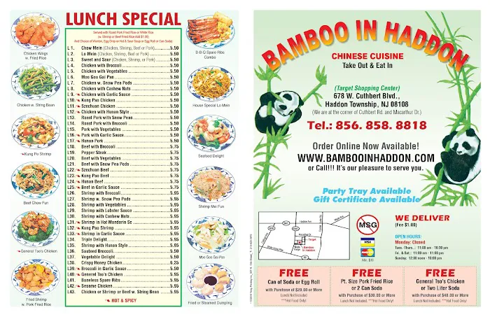 Bamboo in Haddon 10