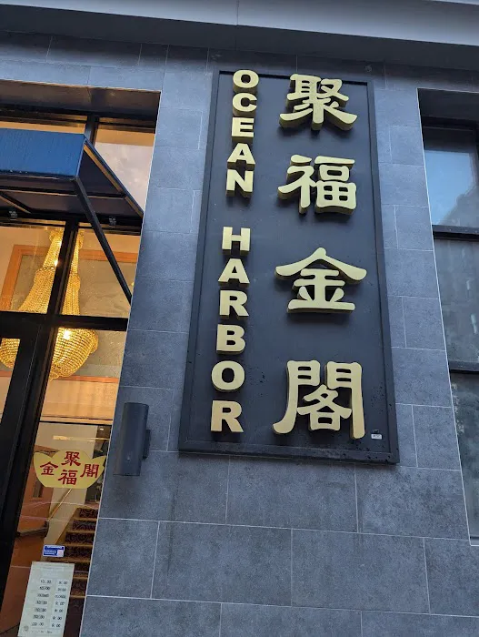 Ocean Harbor 5