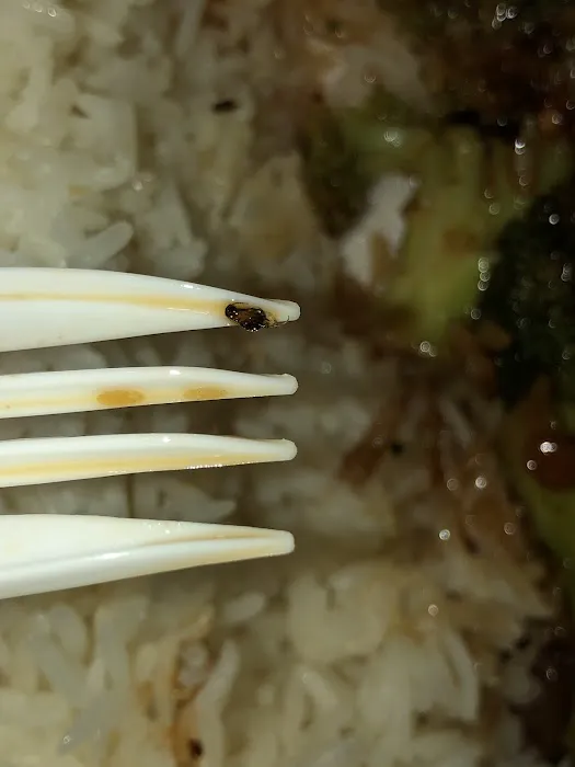 Super China Noodle and Duck House 2