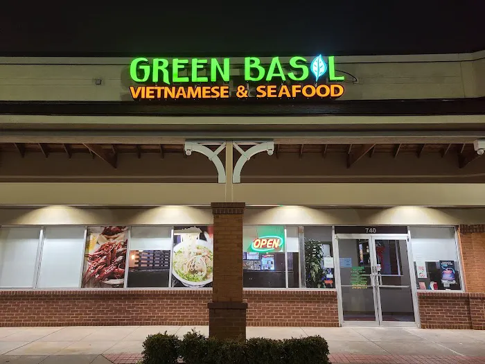 Green Basil 5