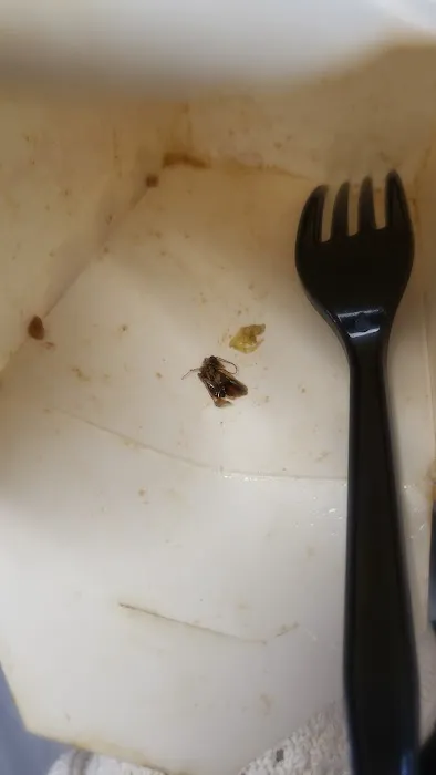 Chef Wang Chinese Restaurant 1