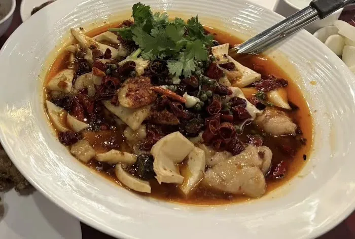 Taste of China 4