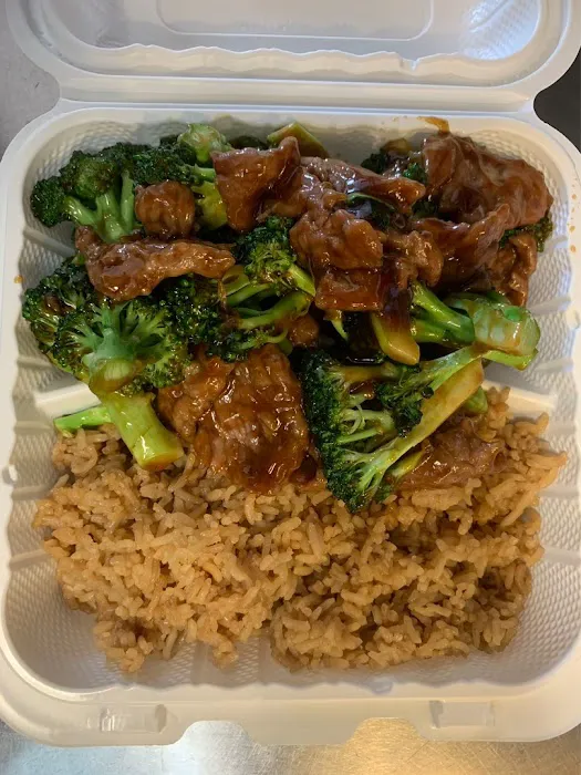 Panda 6
