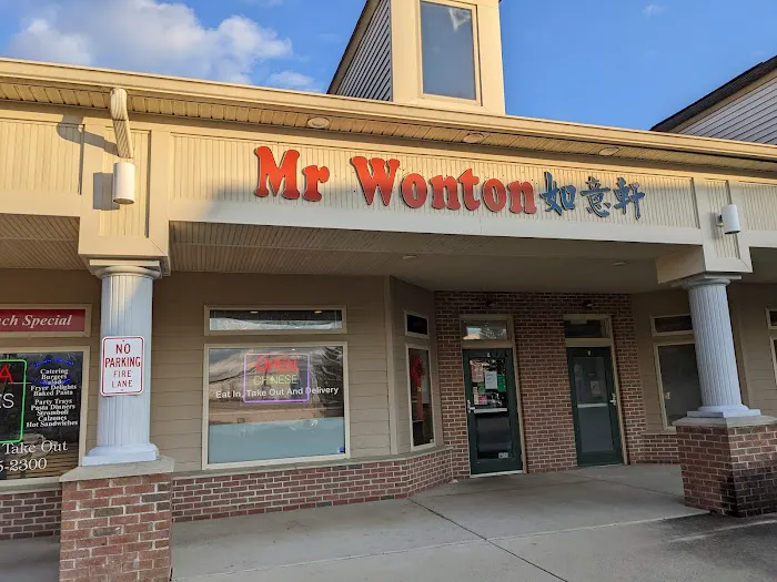 Mr. Wonton 6