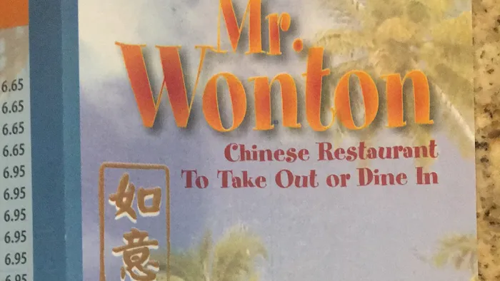 Mr. Wonton 10