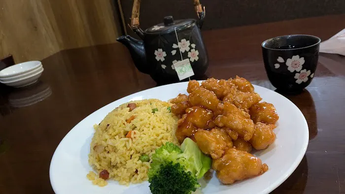 Panda & Fish 3
