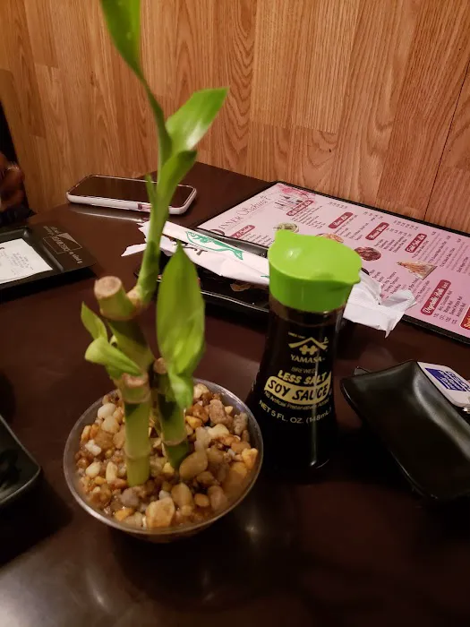 Sakura Japanese Restaurant 9