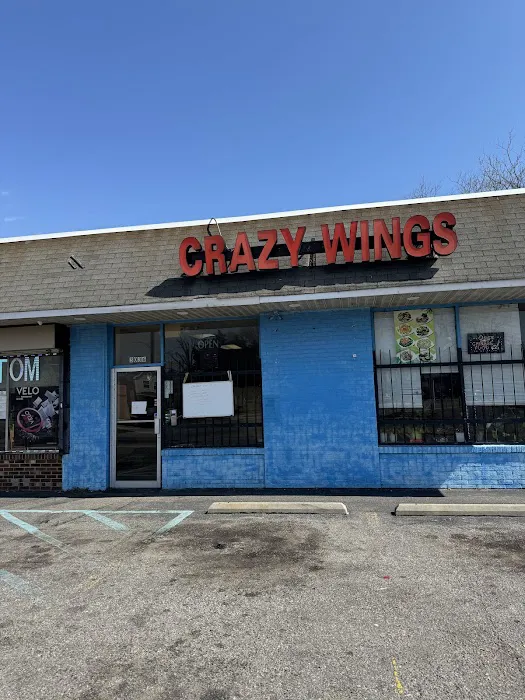 Crazy Wings 3