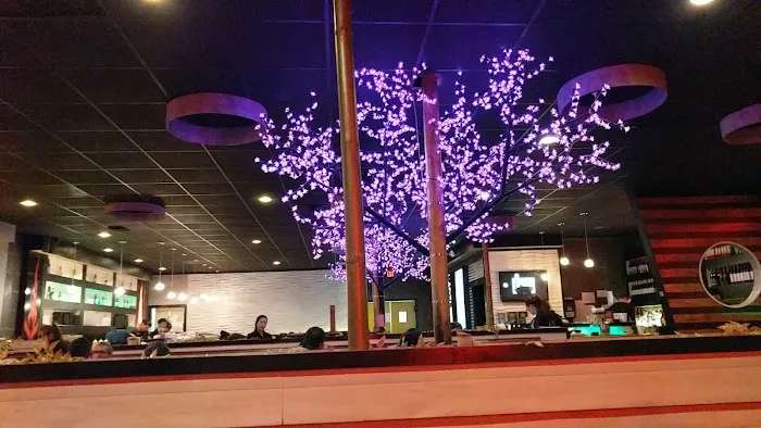 Volcano Sushi & Asian Bistro 5