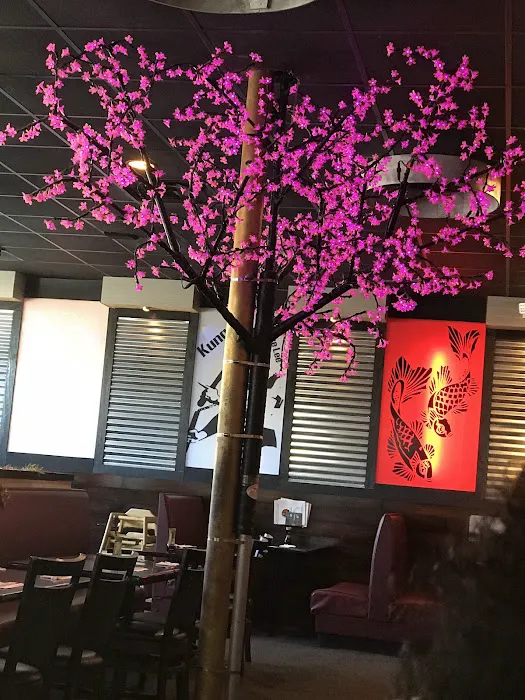 Volcano Sushi & Asian Bistro 6