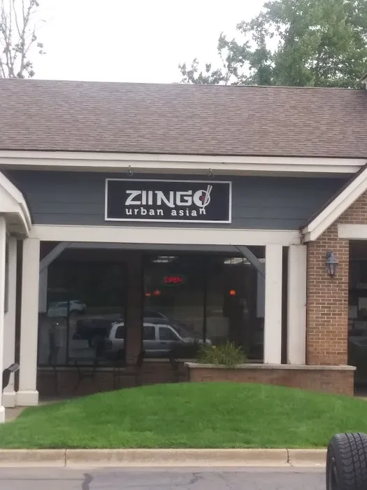 Ziingo 10