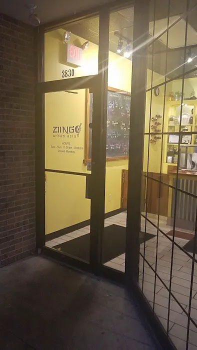 Ziingo 8