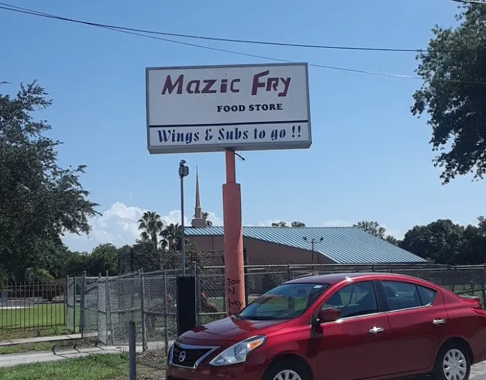 Mazic Fry 8