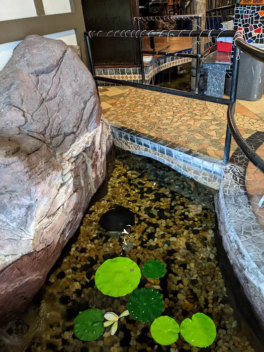 Koywan Buffet 6