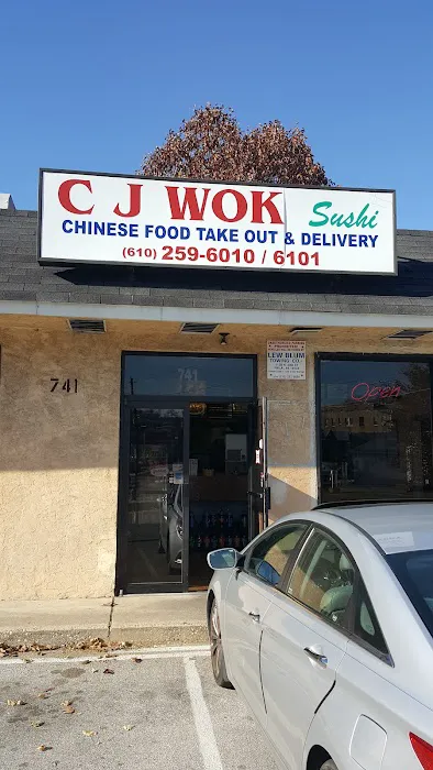 CJ Wok 9