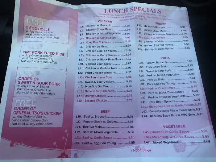 Fortune Wok 5