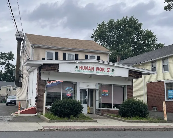Hunan Wok V 9