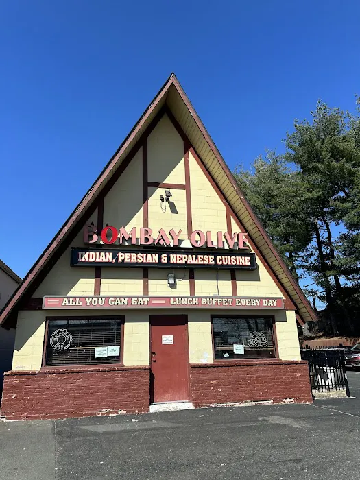 Bombay Olive - West Hartford 6
