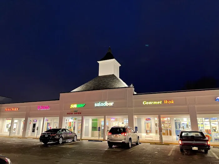 Gourmet Wok 7