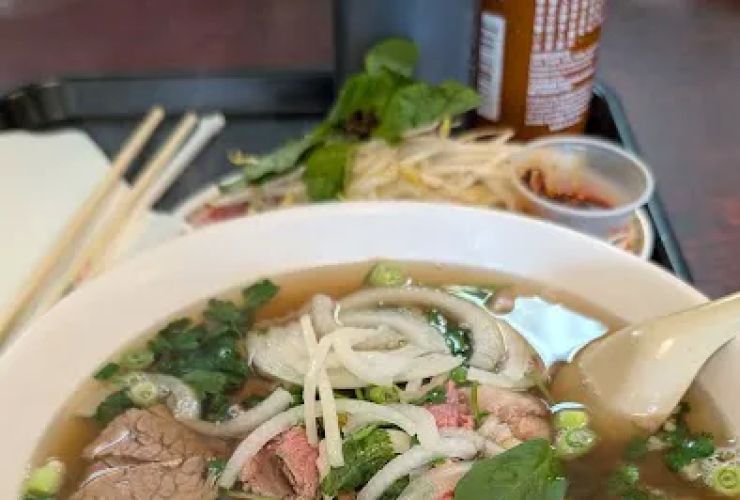 PHO 501 2