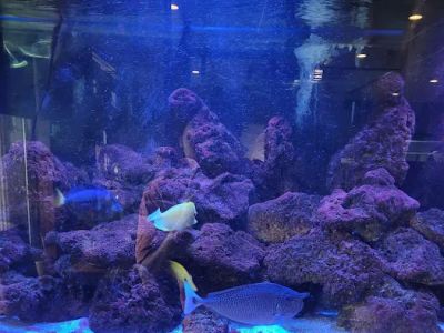 Tan Wong Restaurant 0