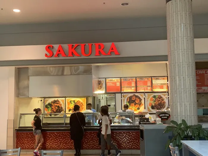 Sakura Express 1