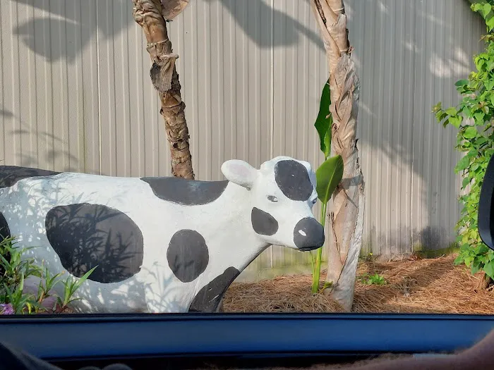 Chick-fil-A 6