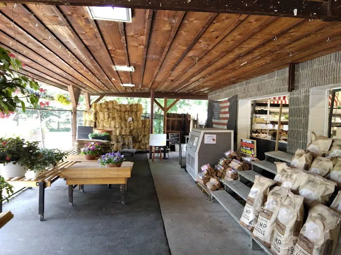 Braymiller Market 7