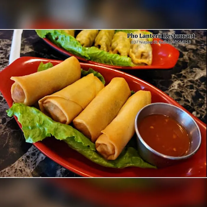 Pho Lantern Restaurant 8