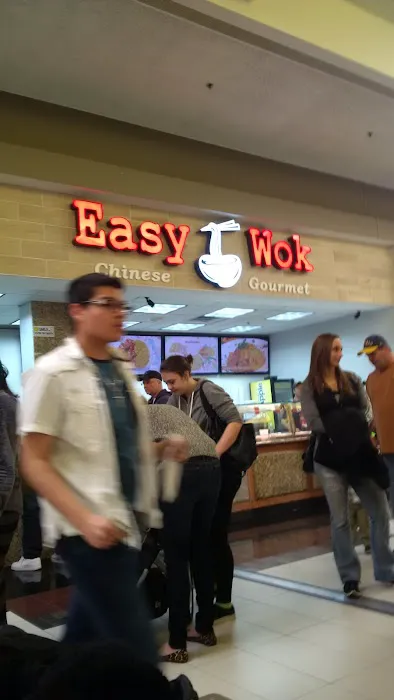 Easy Wok 6