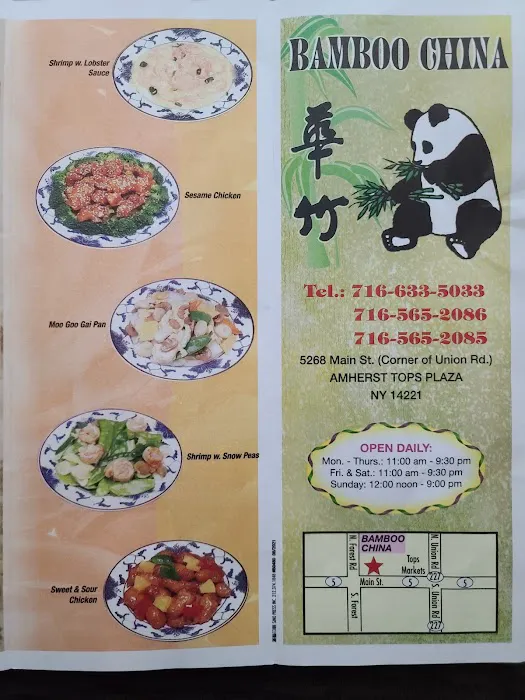 Bamboo China 8