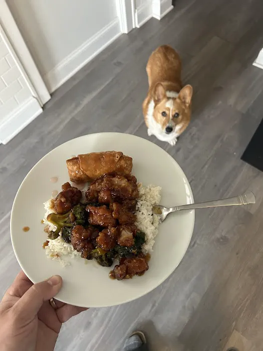 CHINESE COOKERY 3
