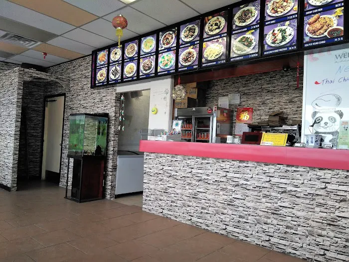 Happy Panda 8
