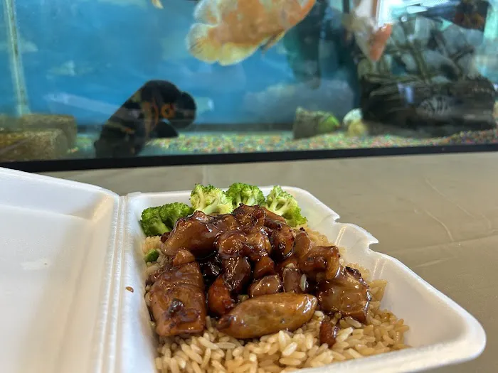 Panda Wok 3