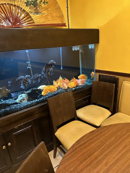 CoCo's Grill 可可小馆 6