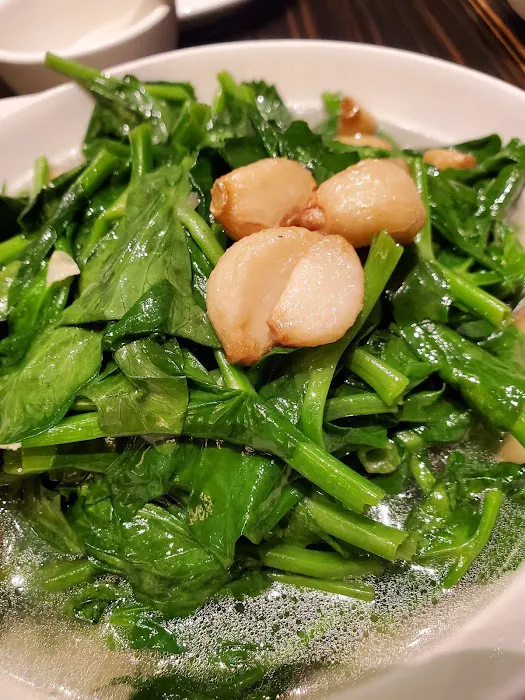 Asian Legend 1