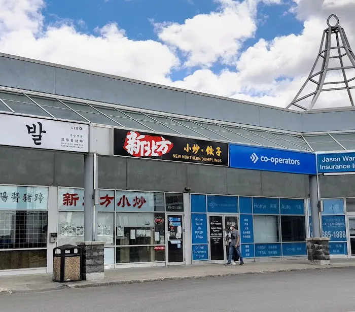 New Northern Dumplings 2