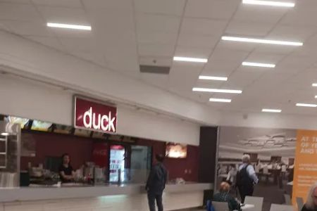 Duck
