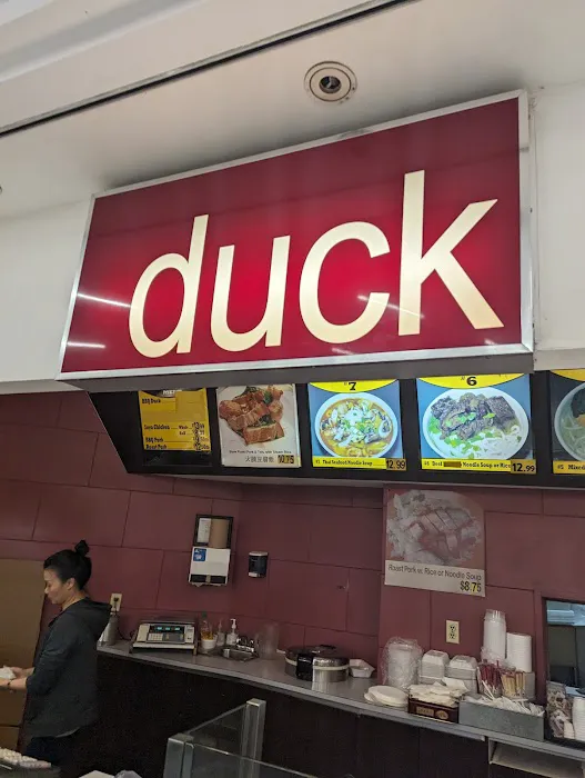 Duck 6