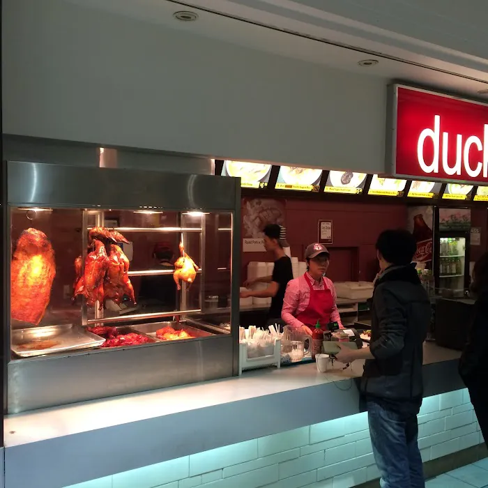 Duck 5