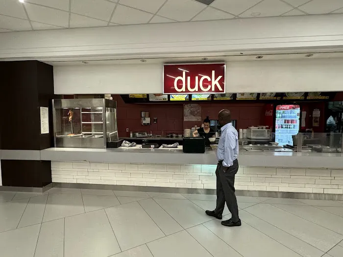 Duck 10