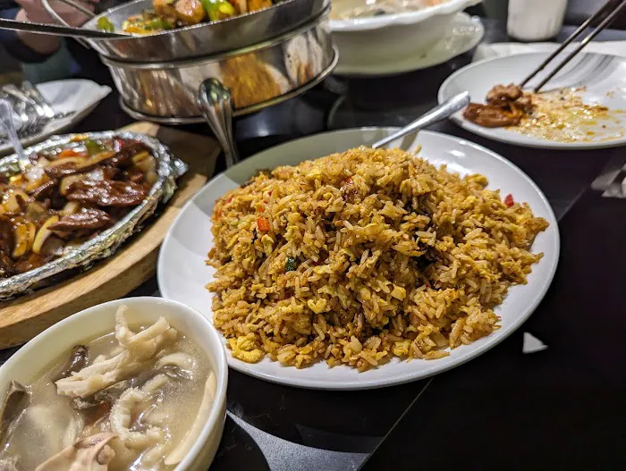 Magical Taste of China.Halal.Downtown/西域食府.唐人街 4